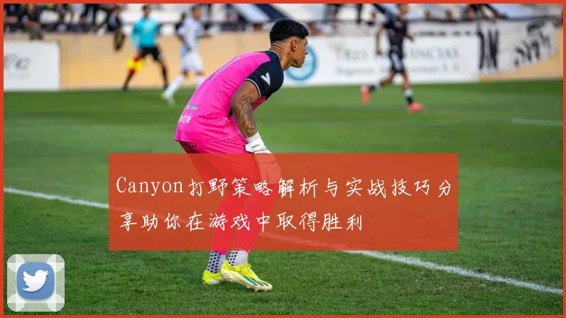Canyon打野策略解析与实战技巧分享助你在游戏中取得胜利