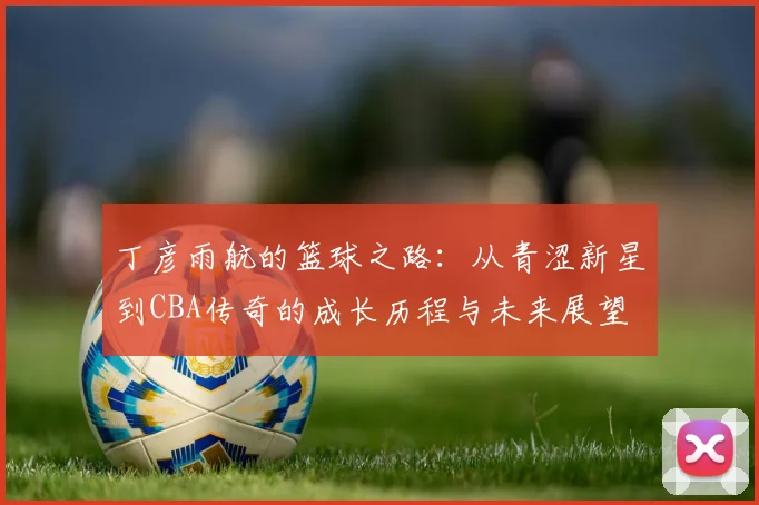 丁彦雨航的篮球之路：从青涩新星到CBA传奇的成长历程与未来展望