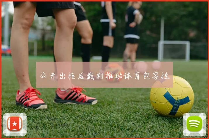 公开出柜后戴利推动体育包容性