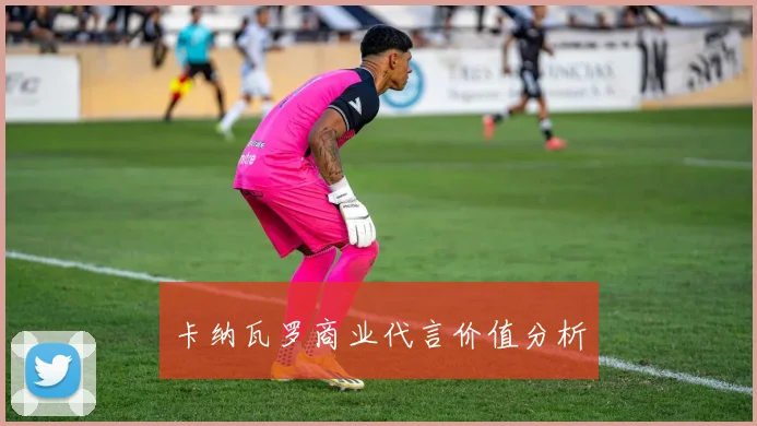 卡纳瓦罗商业代言价值分析