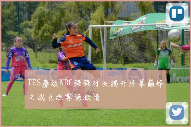 TES鏖战WBG强强对决揭开序幕巅峰之战点燃赛场激情