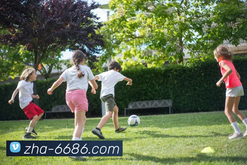 6686APP 体育赛事宣传图